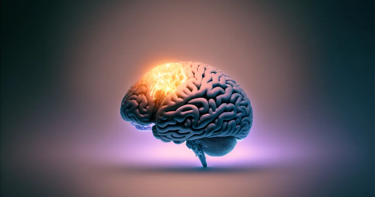 Idea Brain